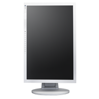 Eizo Flexscan S2402W Easy up Fuss lichtgrau