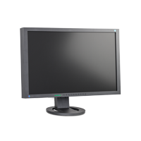 Eizo Flexscan S2402W Flex Fuss black