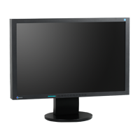 Eizo Flexscan S2433W Spezialfuß black