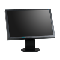 Eizo Flexscan S2433W Spezialfuß black