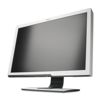 Fujitsu Siemens ScenicView P24W-5