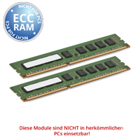 Markenspeicher DDR3 Dimm ECC zwei Module