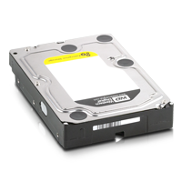 Western Digital WD4000FYYZ Festplatte (intern) 4TB