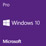 Windows 10 Pro für Workstations 64Bit (vorinstalliert)