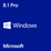 Windows 8.1 Professional 64Bit (Recovery-CD)