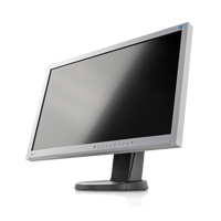 Eizo Flexscan EV2335w Flexstand grau / schwarz