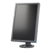 Eizo Flexscan S2402W Flex Fuss black