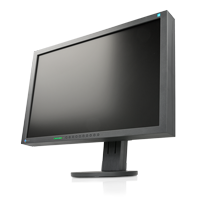 Eizo Flexscan S2402W Flex Fuss black