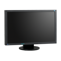 Eizo Flexscan S2433W Spezialfuß black