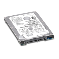 HGST Travelstar Z7K500 320GB