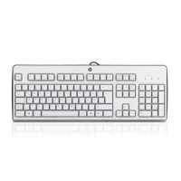 HP USB Keyboard gr Grau