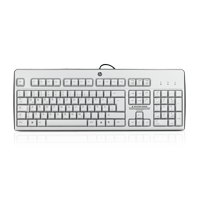 HP USB Keyboard Grey jb