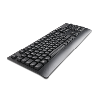 Lenovo Preferred Pro_II USB Keyboard deutsch