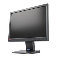 Lenovo Thinkvision lt1952p