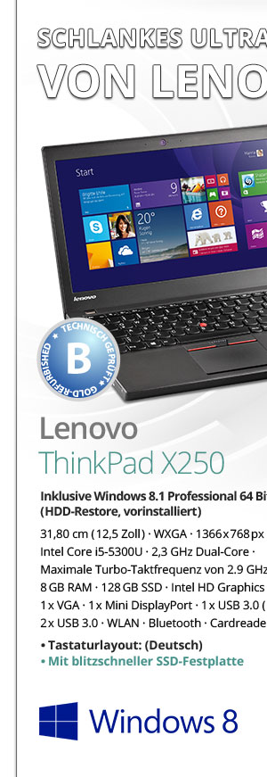 Bild von Lenovo ThinkPad X250