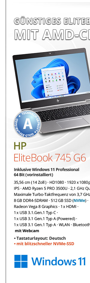 Bild von HP EliteBook 745 G6