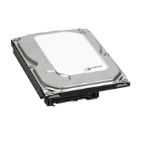 Seagate Markenfestplatte Sata