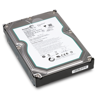 Seagate ST32000542AS Festplatte 2TB
